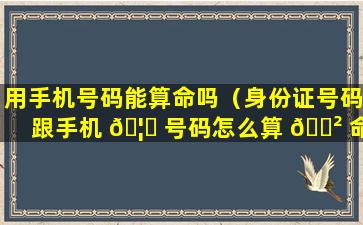 用手机号码能算命吗（身份证号码跟手机 🦁 号码怎么算 🌲 命）